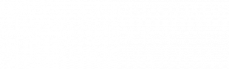 rita-ferreira-da-silva-universidade-catolica-portuguesa